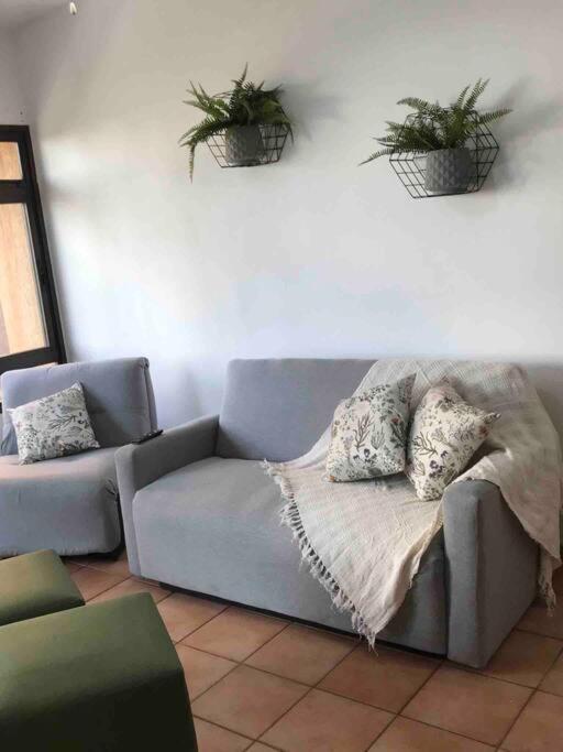 Apto Executivo Prox Hospitais E Shopping Lejlighed Ribeirão Preto Eksteriør billede